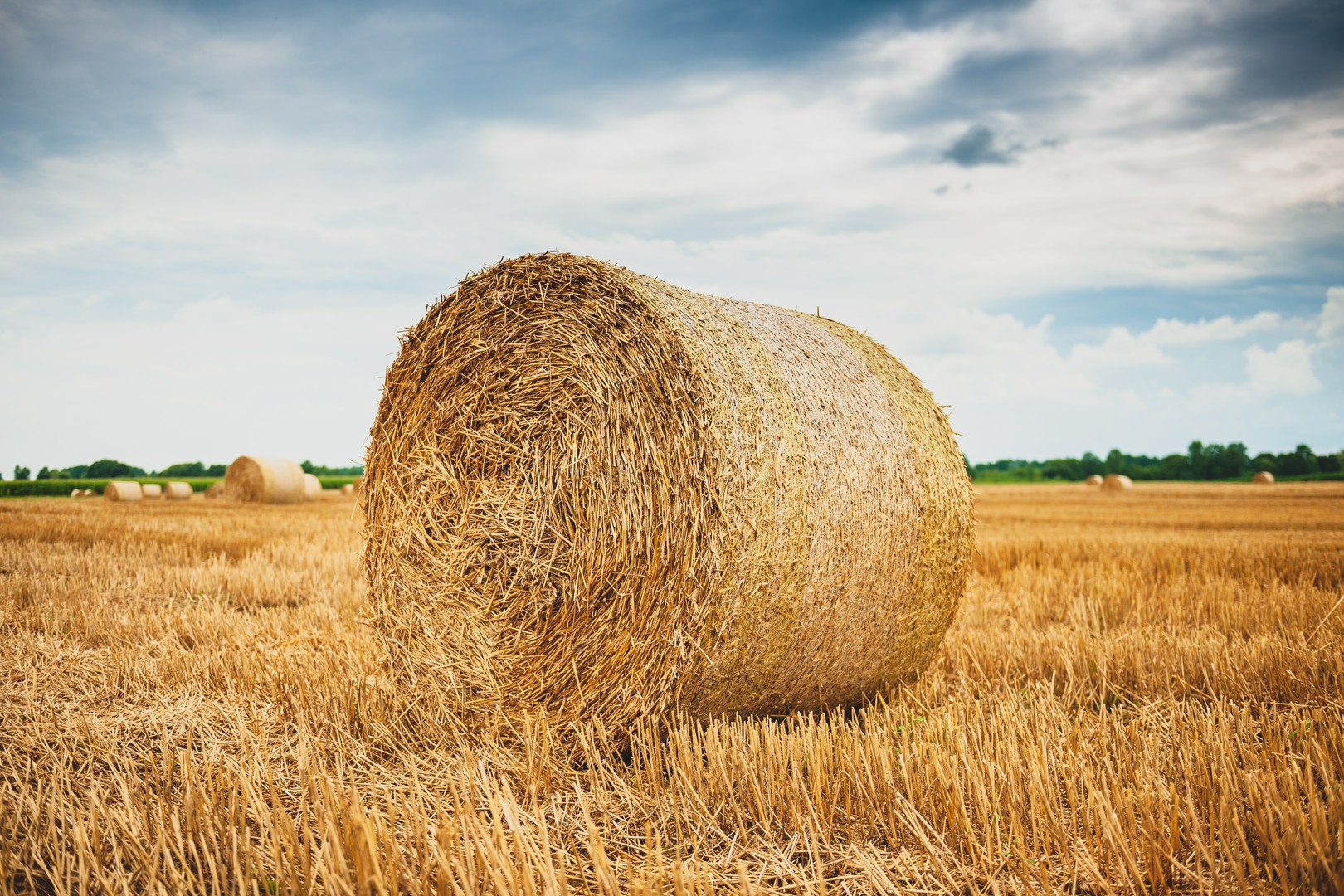 Porównanie różnych modeli zgrabiarek do siana – która sprawdzi się w Twoim gospodarstwie?